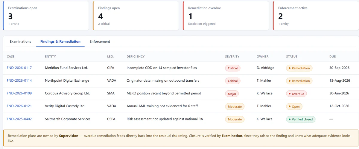 Findings and remediation by entity, with severity, owner, status and due date through to verified closure; sample non-confidential data.